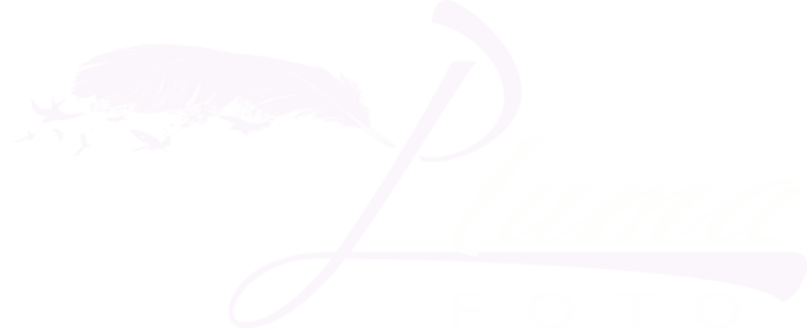 PLUMA FOTO